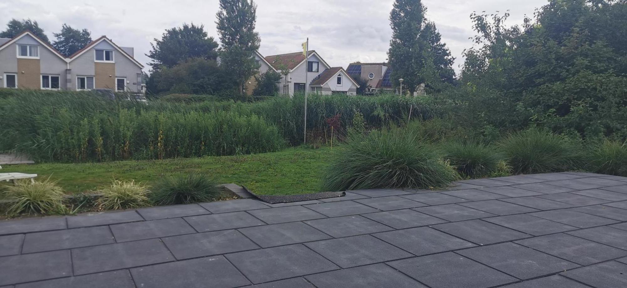 Prachtige Vakantievilla Aan Ijsselmeer Makkum Exteriér fotografie