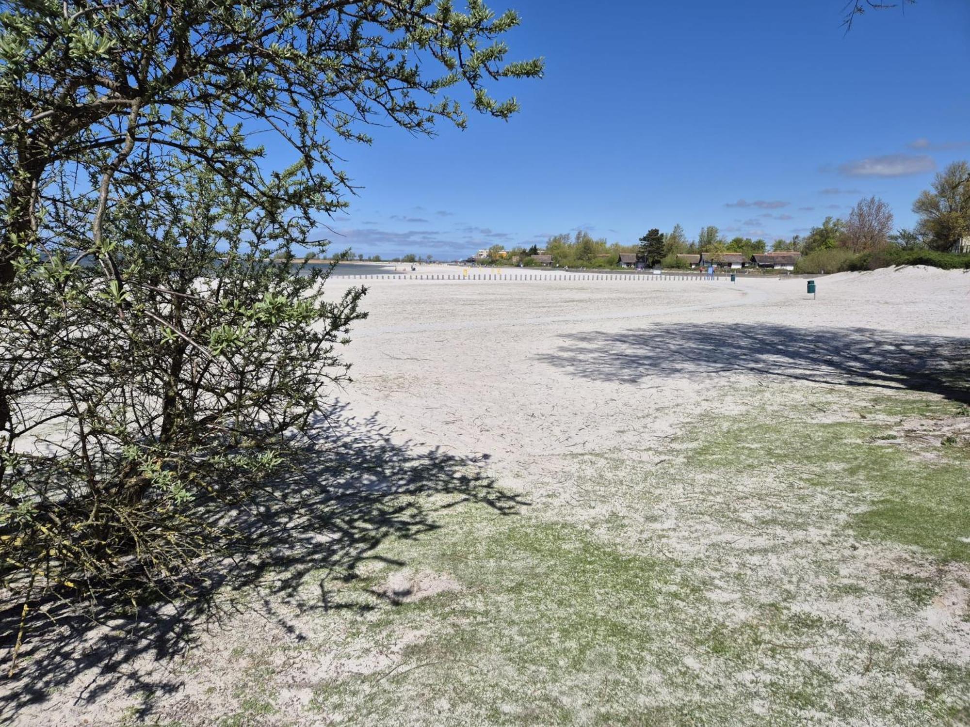 Prachtige Vakantievilla Aan Ijsselmeer Makkum Exteriér fotografie